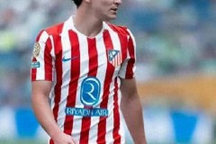 西甲任意球+英超助攻！阿尔瓦雷斯等球星闪耀，阿根廷队世界杯可期？