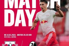 德甲非洲杯荷兰杯国王杯前瞻！