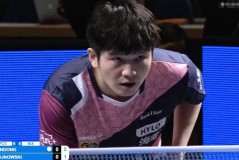 樊振东3-0完胜率队挺进欧冠8强，精湛表现引爆全场欢呼