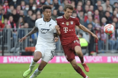 周日019 德甲重头戏：拜仁主场破局止颓，霍芬海姆客场掀反击风暴