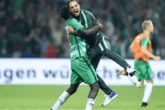 周六015 德甲 云达不来梅VS霍芬海姆，专家赛事预测！