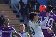 意甲垫底佛罗伦萨再遭重挫：17轮仅获一胜，24亿欧豪阵依旧遭遇滑铁卢