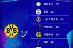 多特总监谈欧冠：与曼城国米尤文热刺交手，这才是欧冠应有的样子